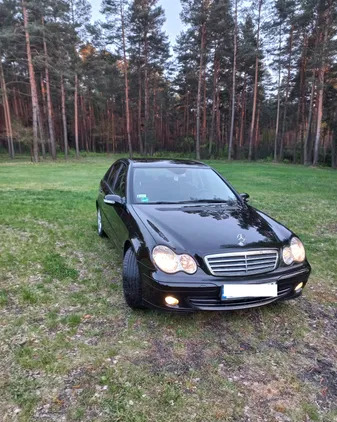 mercedes benz klasa c Mercedes-Benz Klasa C cena 18500 przebieg: 260000, rok produkcji 2006 z Lubliniec